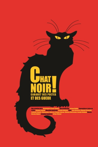 Chat Noir !